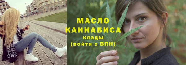 мдпв Заводоуковск