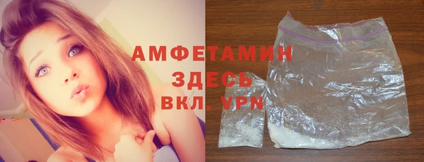 мдпв Заводоуковск
