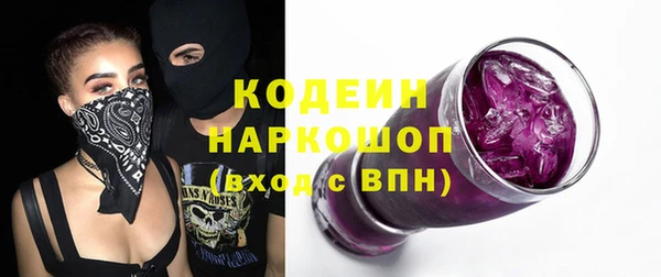 мдпв Заводоуковск