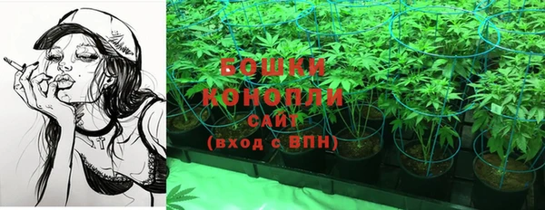 стафф Заволжье