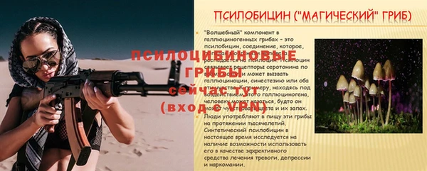 стафф Заволжье