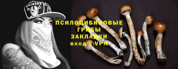 ГАЛЛЮЦИНОГЕННЫЕ ГРИБЫ Заволжск