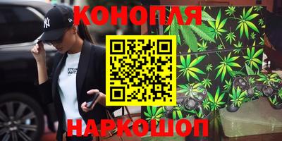 индика Кизилюрт