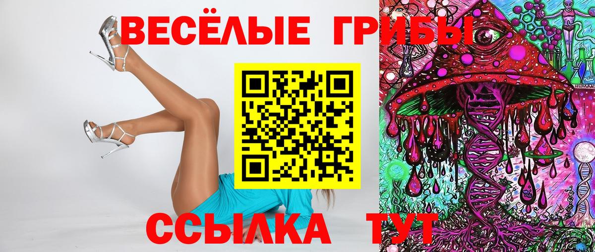Псилоцибиновые грибы GOLDEN TEACHER  Вход с VPN  Заринск 