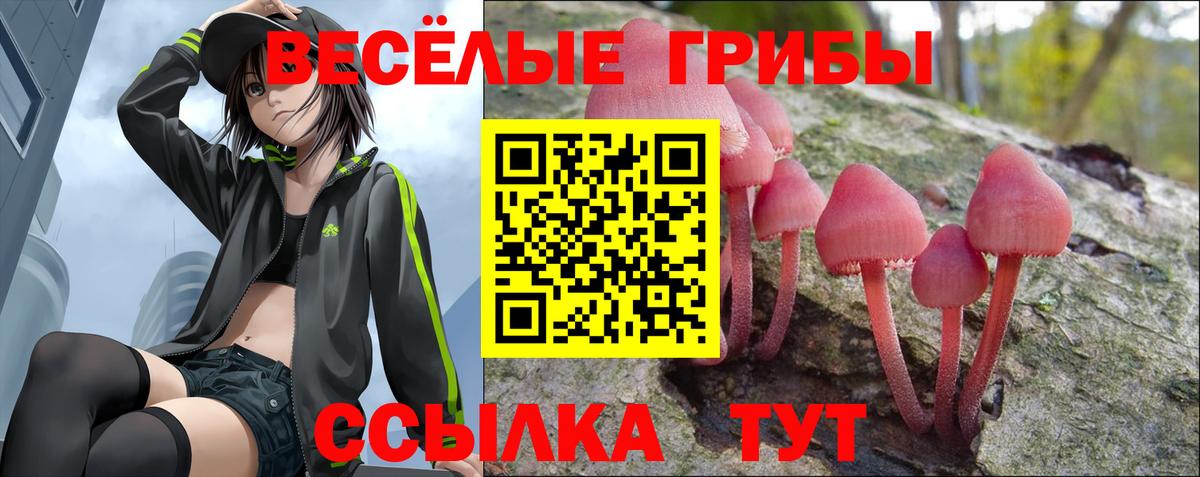 Псилоцибиновые грибы Cubensis Заринск